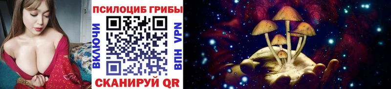 Галлюциногенные грибы Cubensis Лысьва