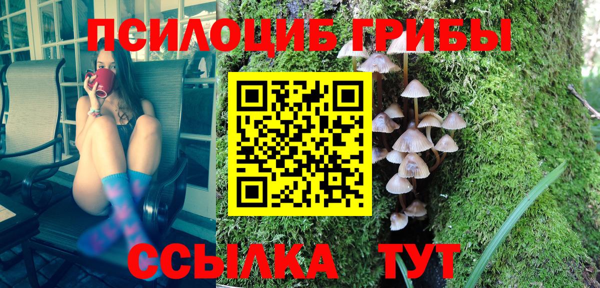 Псилоцибиновые грибы MAGIC MUSHROOMS  Псилоцибиновые грибы прущие грибы  купить наркоту  Вход с VPN  Лысьва 